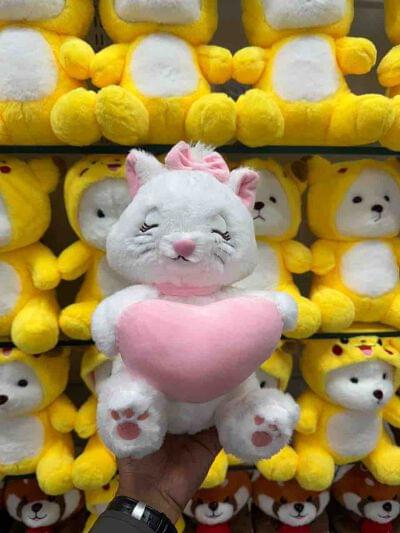 HEART CAT