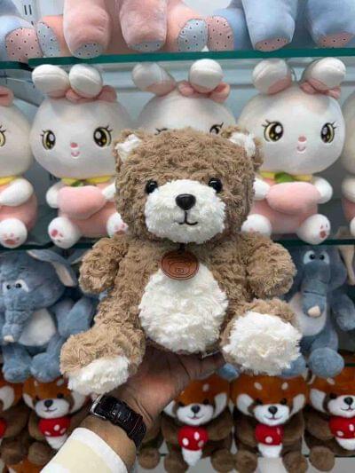 LOCKET TEDDY